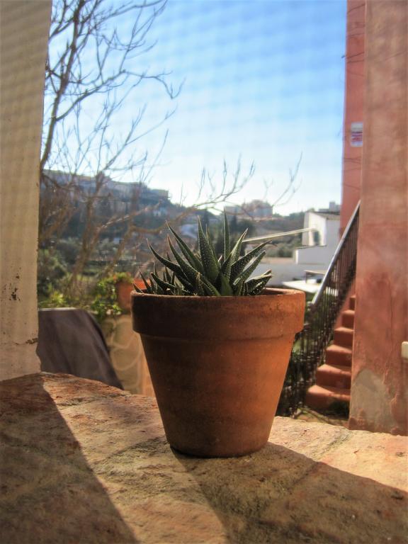 La Casina De Piedra Encanto - Parte Antigua De Cáceres Exterior photo
